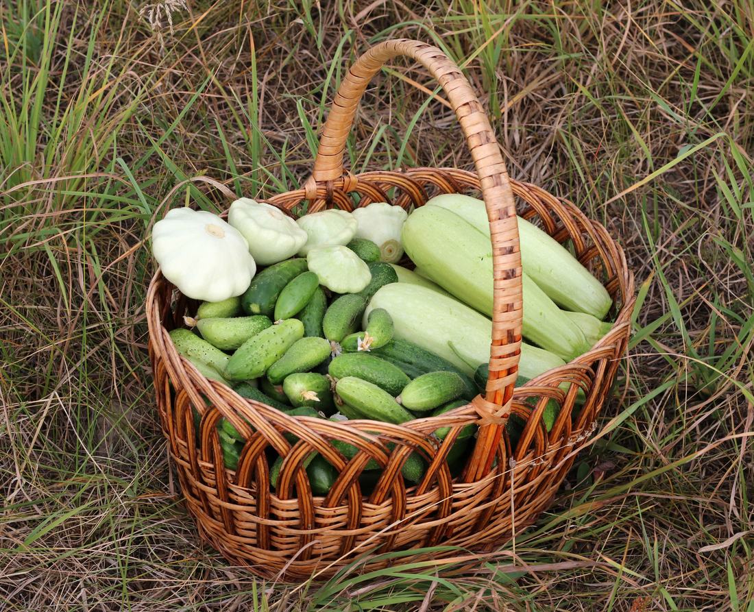 Korb mit frischem Gemüse